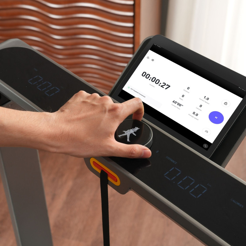 Kingsmith WalkingPad X214 folding...