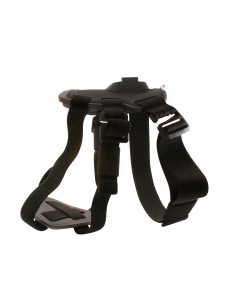 Pets Holder KSIX For Action...