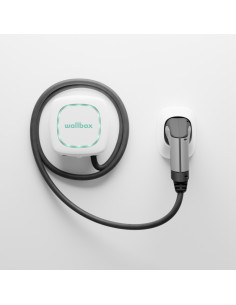 Cargador coche eléctrico...