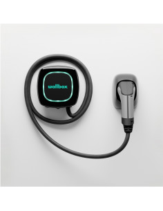 Cargador coche eléctrico...